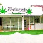 cannabis khaoyai pakchong