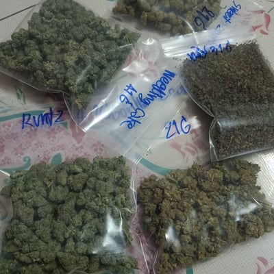 ร้านกัญชา one hit cannabis shop product image