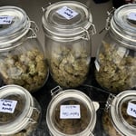 Mintski Cannabis Shop Pakchong