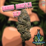 Grand Master Sexy (Exotic Genetics​)