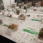 Sweed Cannabis Store Weed ร้านกัญชาหนองคาย