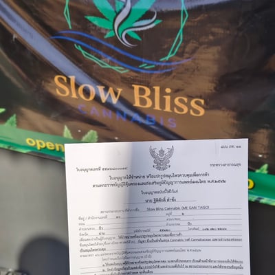 Slow Bliss Cannabis product image