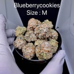 Blue Berry Cookies 