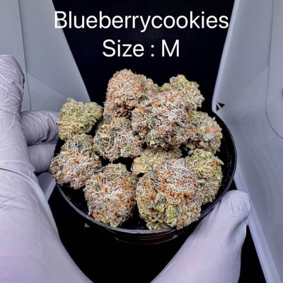 Blue Berry Cookies 