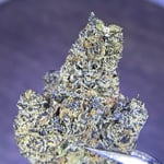King Cannabis Warehouse - Weed/Ganja Dispensary