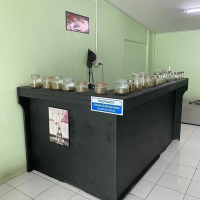 Club Joker 420 Lopburi product image