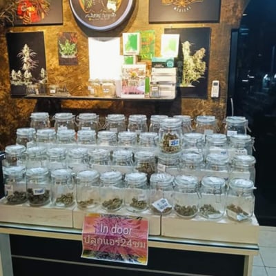 Chumphon cannabis (ชุมพรแคนนาบีส) cannabis shop product image