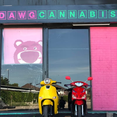 ร้านกัญชา DAWG CANNABIS product image