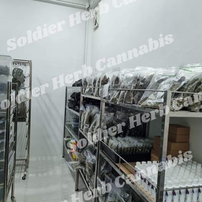 โซลเดอร์ เฮิร์บ แคนนาบิส(Soldier Herb Cannabis) product image