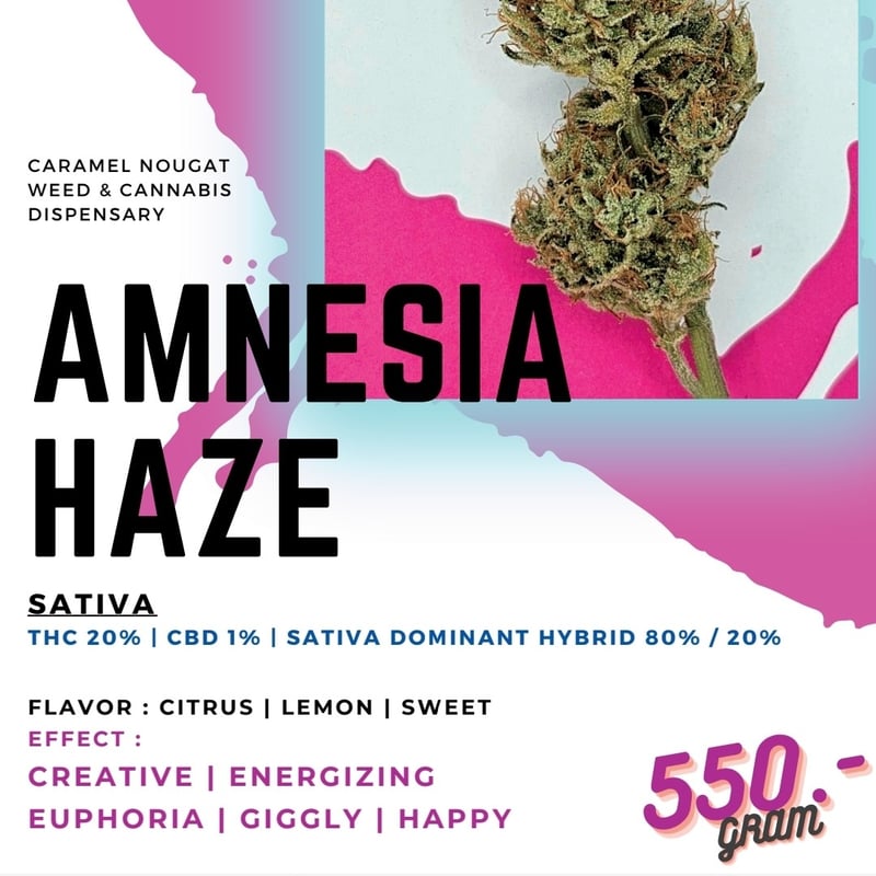 Amnesia Haze Cannabis Flower at Caramel Nougat Weed and Cannabis ...