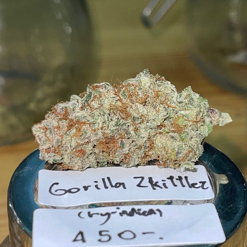 Gorilla Zkittlez Cannabis Flower at Hi Buds in Bangkok