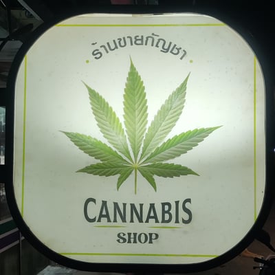 Sweet Cannabis ร้านกัญชา สวีท แคนนาบิส