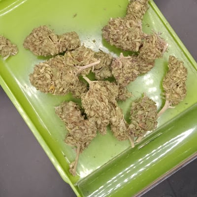 GREEN HAVEN กรีนเฮเว่น (ร้านกัญชา) product image