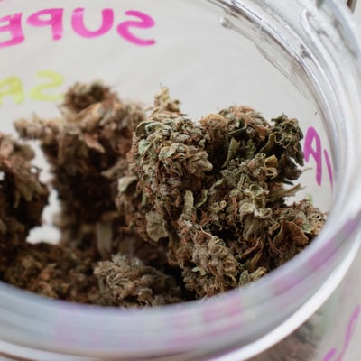 WEED SUPER SATIVA
