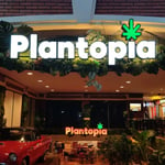 Plantopia - Weed City