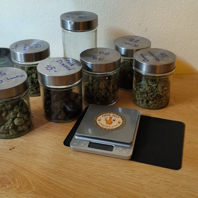 ร้านกัญชา one hit cannabis shop product image