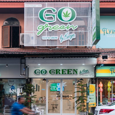 Go Green by Kanya - Tha Phae