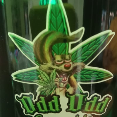 Odd Odd Cannabis อ๊อต อ๊อต แคนนาบิส product image