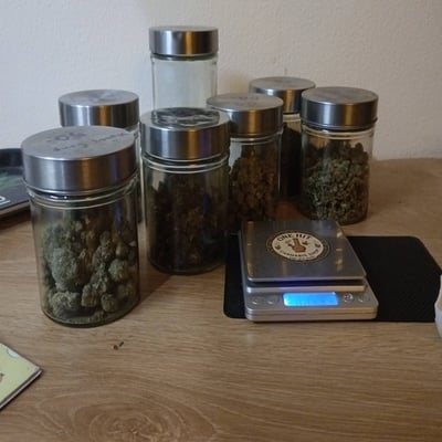 ร้านกัญชา one hit cannabis shop product image