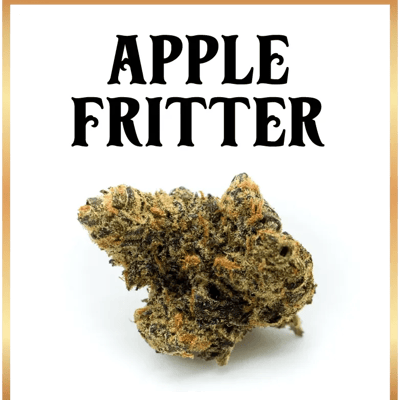 Apple Fritter