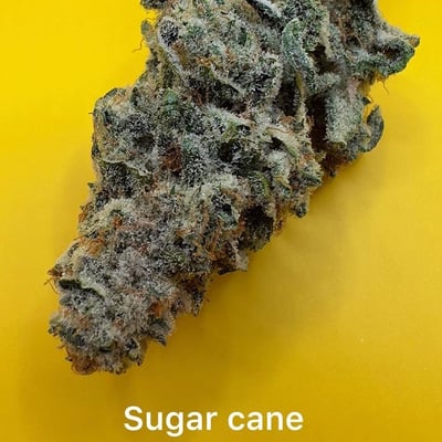Weed Father Cannabis Lounge Bar / Medical Marijuana Dispensary product image