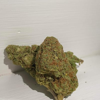 JACK HERER SHOP product image