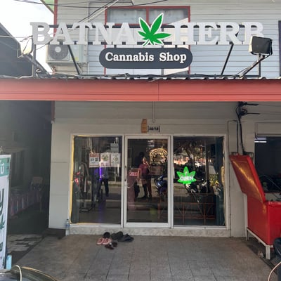 Batnaherb Weed and Cannabis Dispensaries สาขา หน้า วค. (ร้านกัญชา) Songkhla product image