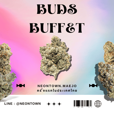 Neontown.maejo Weed Dispensary - สาขาแม่โจ้ product image