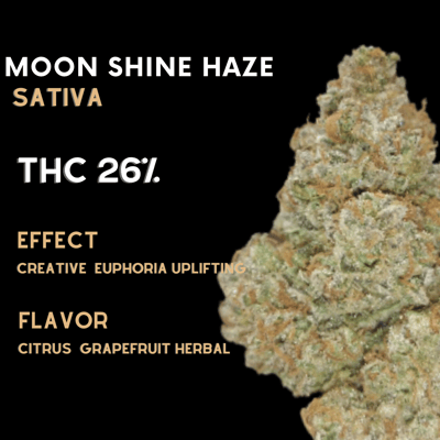 Moon Shine Haze