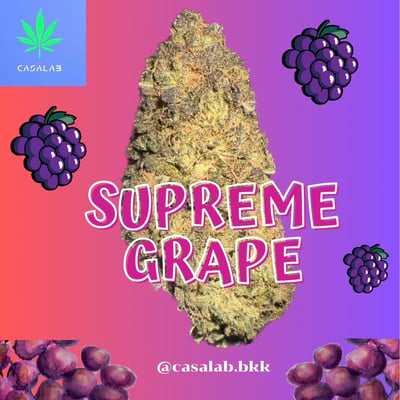 Supreme Grape