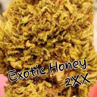 Exotic honey 