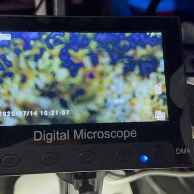 Review image