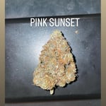 PINK SUNSET