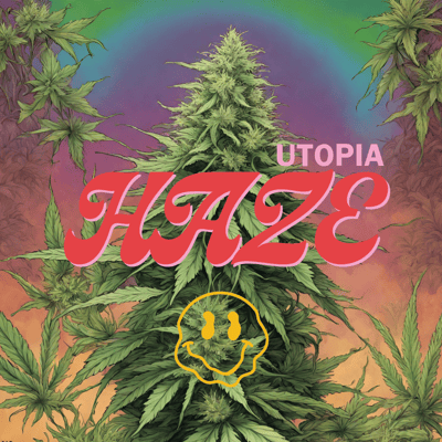 Utopia Haze 