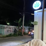ร้านกัญชา WEED KA SIS (Cannabis Shop)