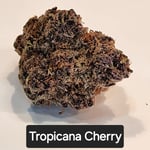 Tropicana Cherry 1 gram pre roll 