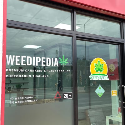 WEEDIPEDIA.TH product image