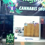 Mr.GREENCNX Weed Shop 大麻店