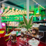 High beach Cannabis club