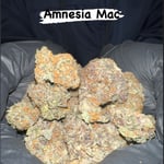 Amnesia Mac