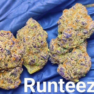 Runteez 