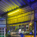 Reggae bar and Restaurant