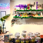 Too High Weed & Cannabis shop