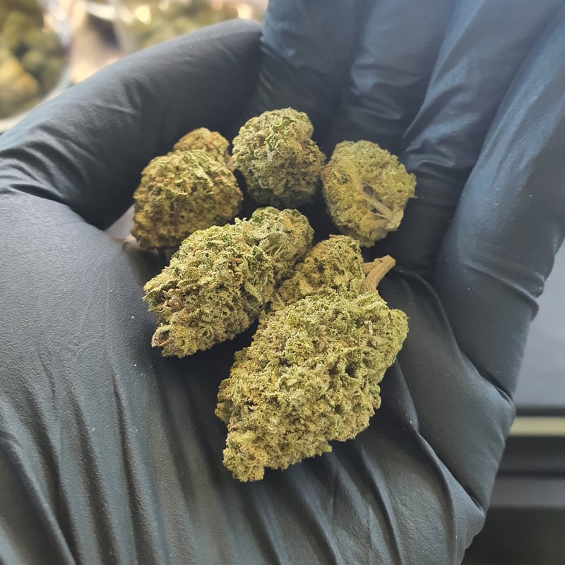 End Game Strain, Cannabis Dispensary