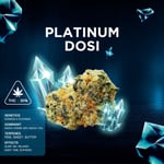 Platinum Dosidos 