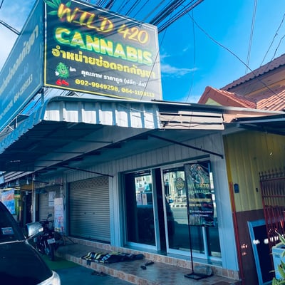 ร้านกัญชา Wild 420 Cannabis store product image