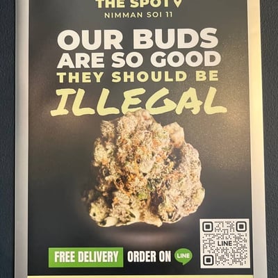 The Spot Cannabis Dispensary | ร้านกัญชาเชียงใหม่ Cannabis shop Chiang Mai product image