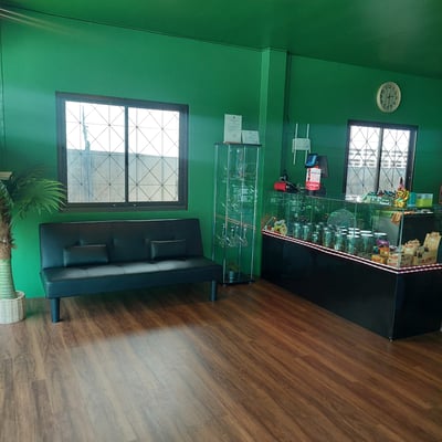 Green Garden Kata | Cannabis Dispensary Weed Shop product image