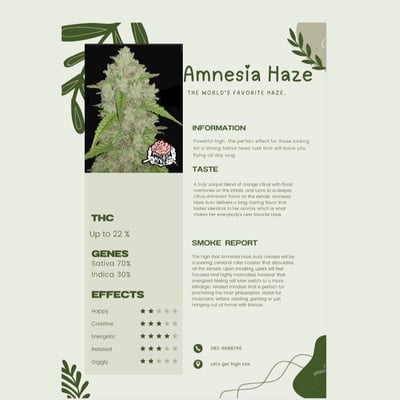 Amnesia Haze