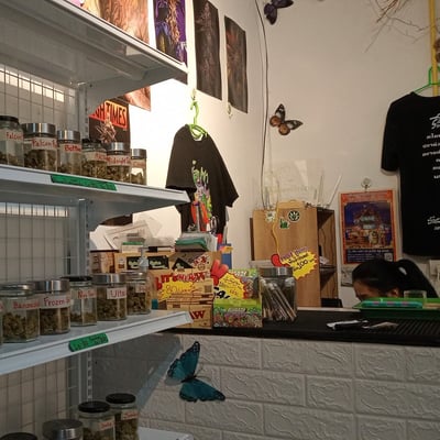 ซ๊อปซา cannabis shop ม.อุบล-โค้งบัววัด product image